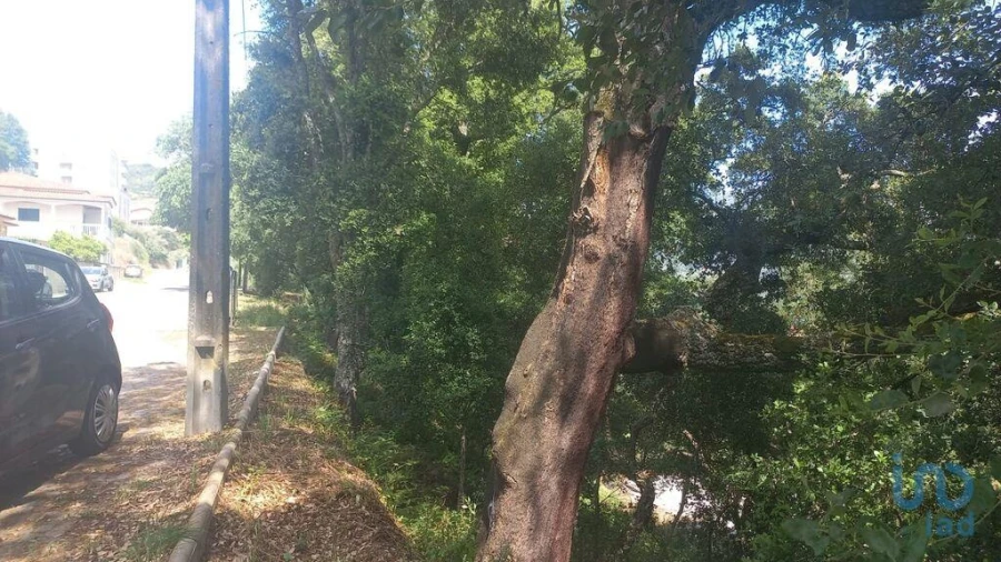 Terreno para Venda em Frende Foto 2
