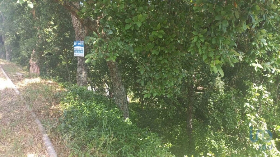 Terreno para Venda em Frende Foto 5