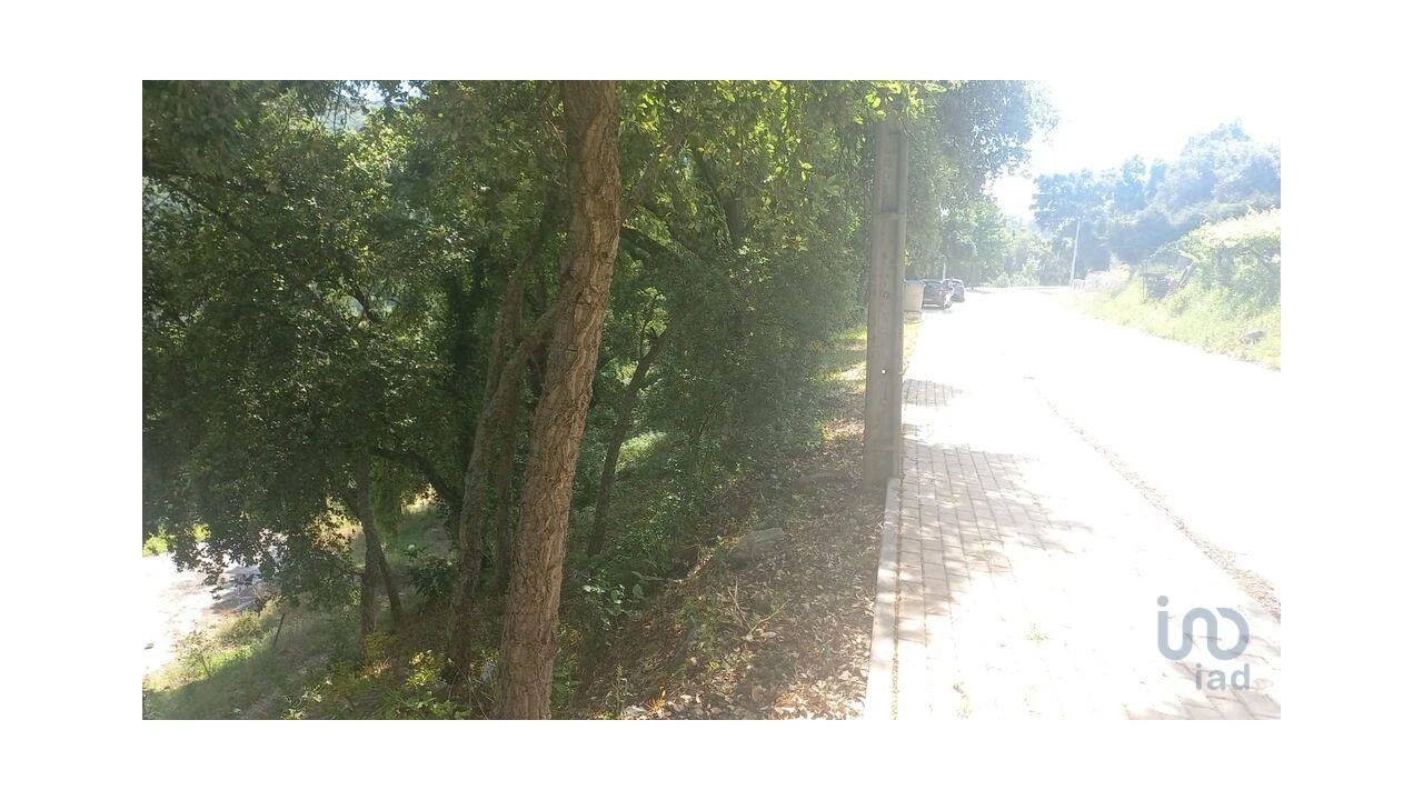 Terreno para Venda em Frende Foto 9