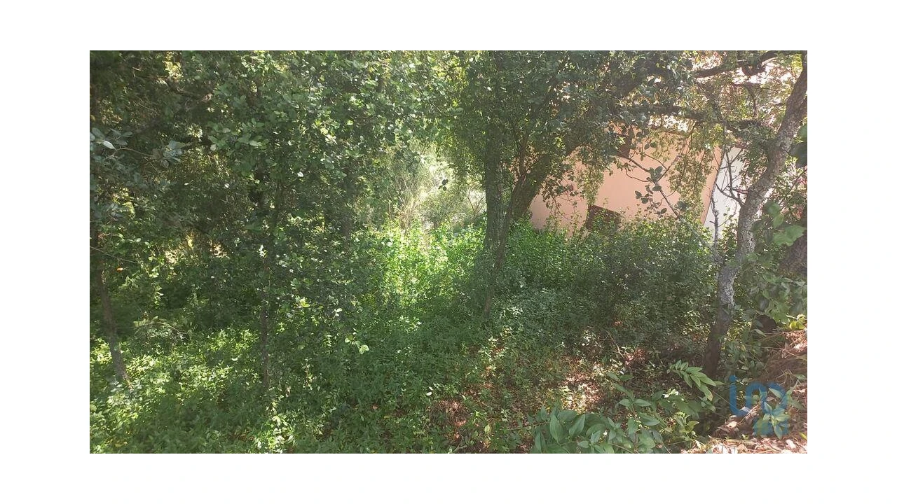 Terreno para Venda em Frende Foto 12