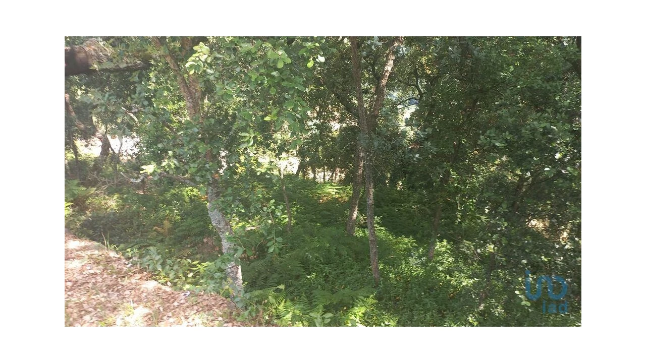 Terreno para Venda em Frende Foto 10