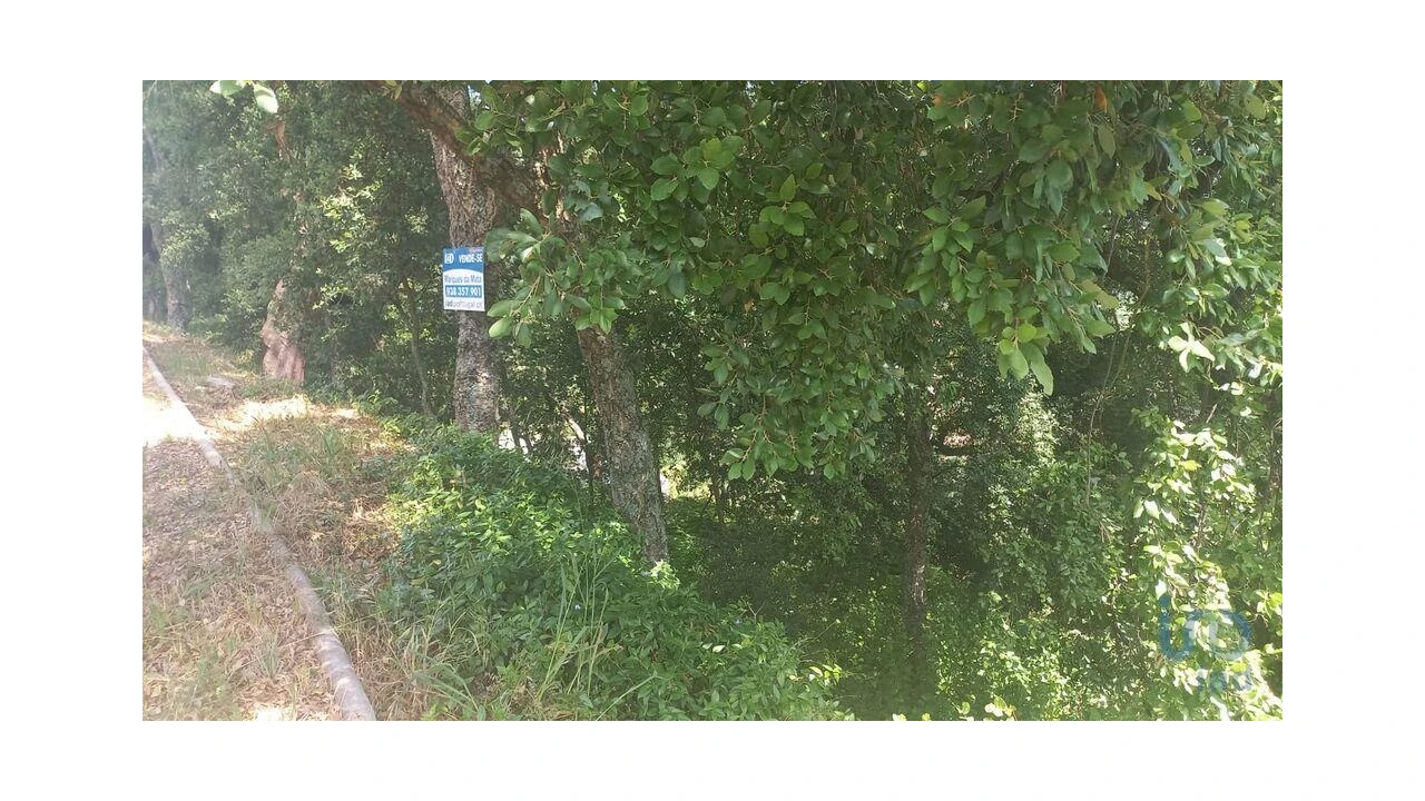 Terreno para Venda em Frende Foto 5