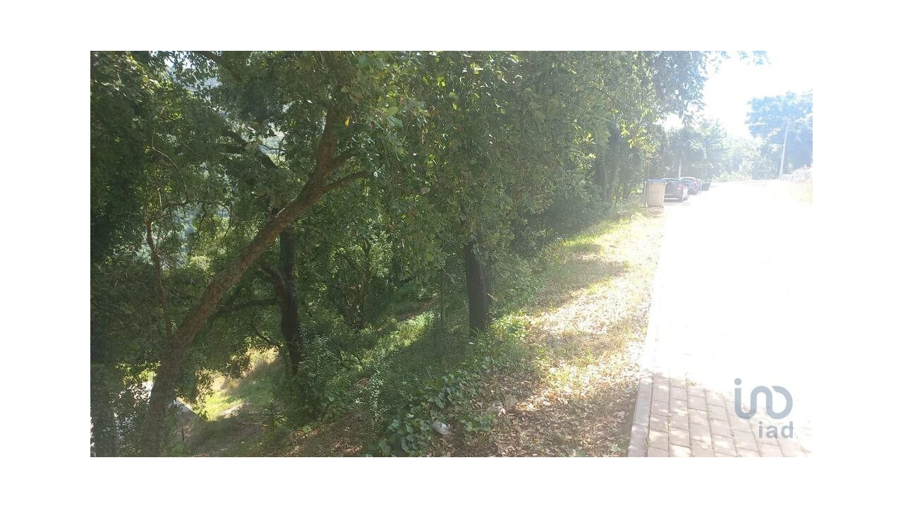 Terreno para Venda em Frende Foto 11