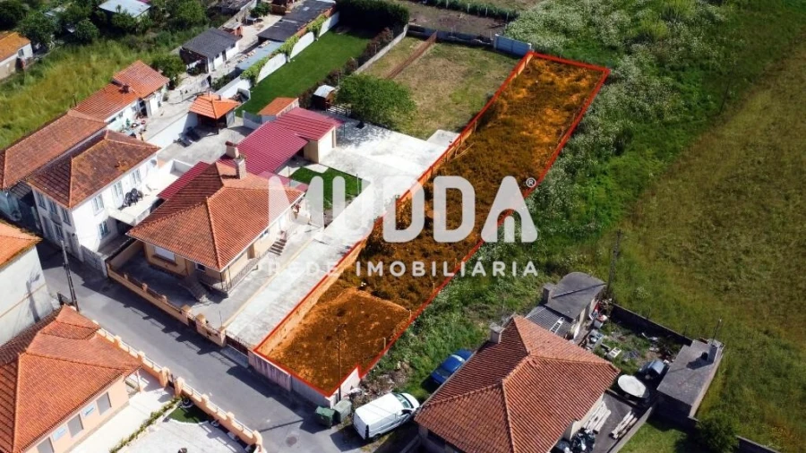 Terreno para Venda em Murtosa Foto 3