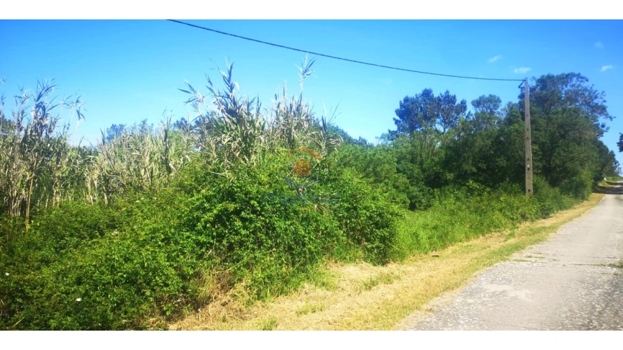 Terreno Comércio / Armazém para Venda em Milharado