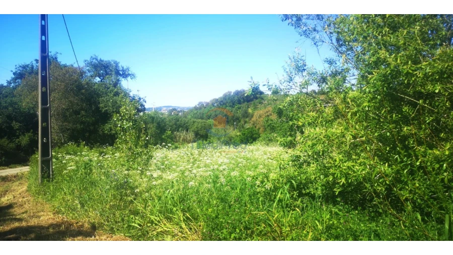 Terreno Comércio / Armazém para Venda em Milharado Foto 2