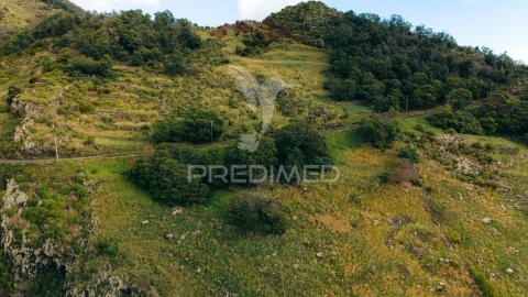 Terreno para Venda em Machico
