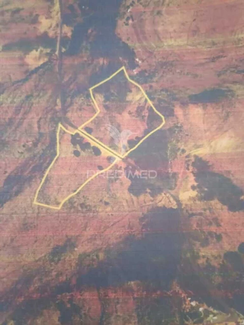 Terreno para Venda em Machico