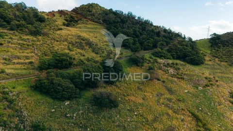 Terreno para Venda em Machico