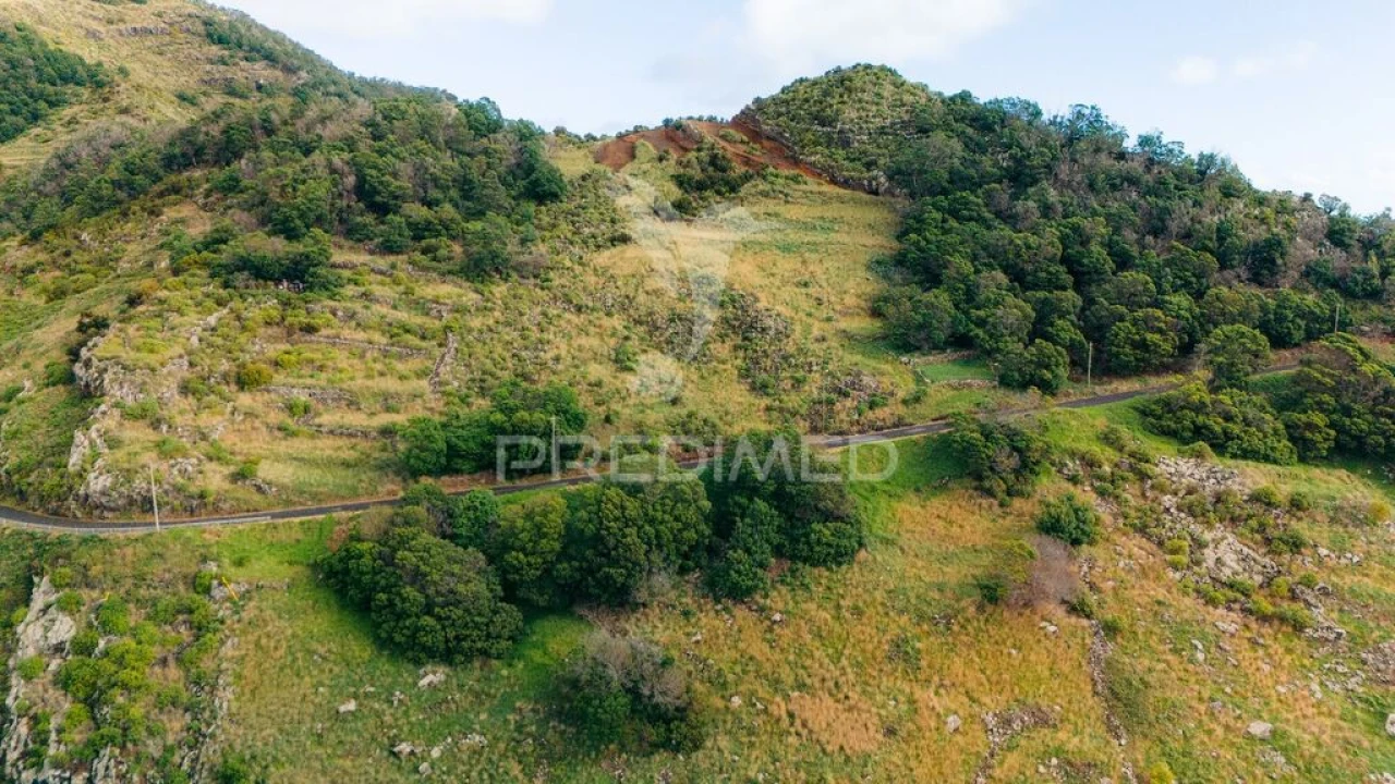 Terreno para Venda em Machico Foto 3