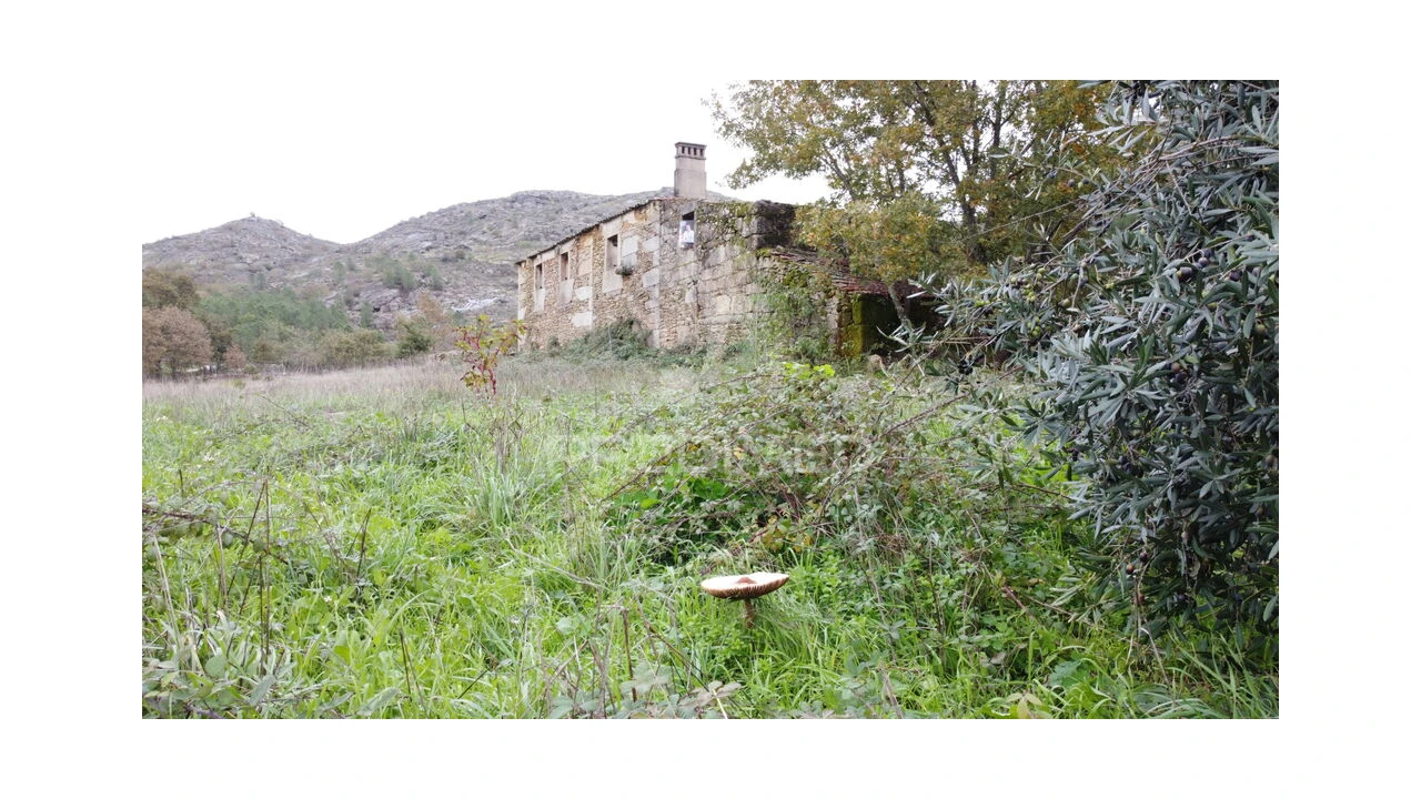 Quinta T4 para Venda em Sobral Pichorro e Fuinhas Foto 6