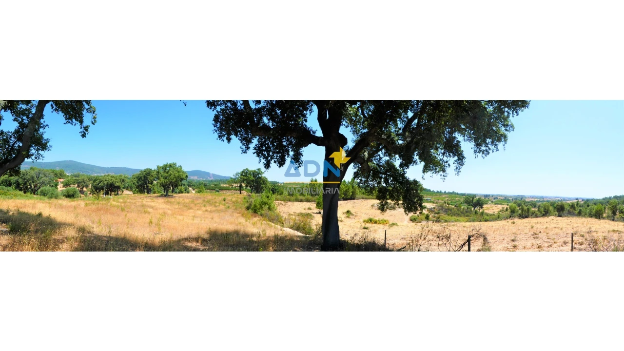 Terreno para Venda em Vale de Prazeres e Mata da Rainha Foto 5