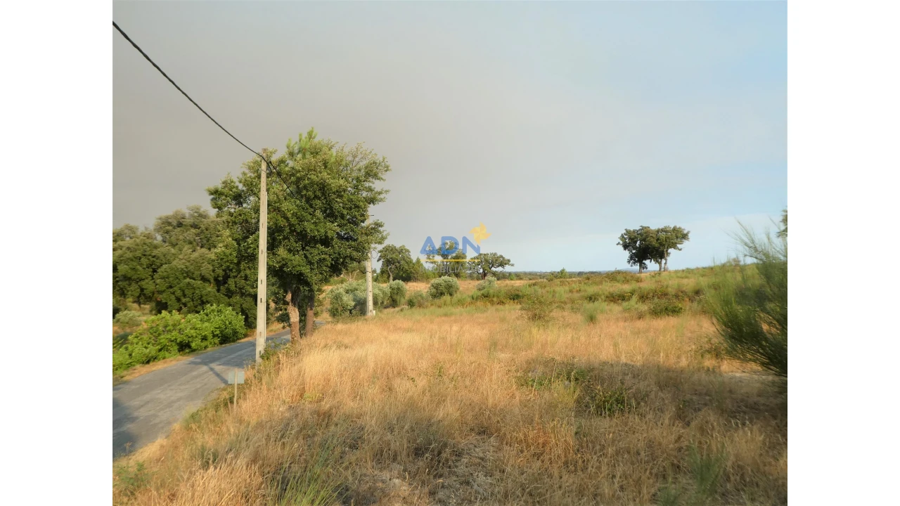 Terreno para Venda em Vale de Prazeres e Mata da Rainha Foto 23