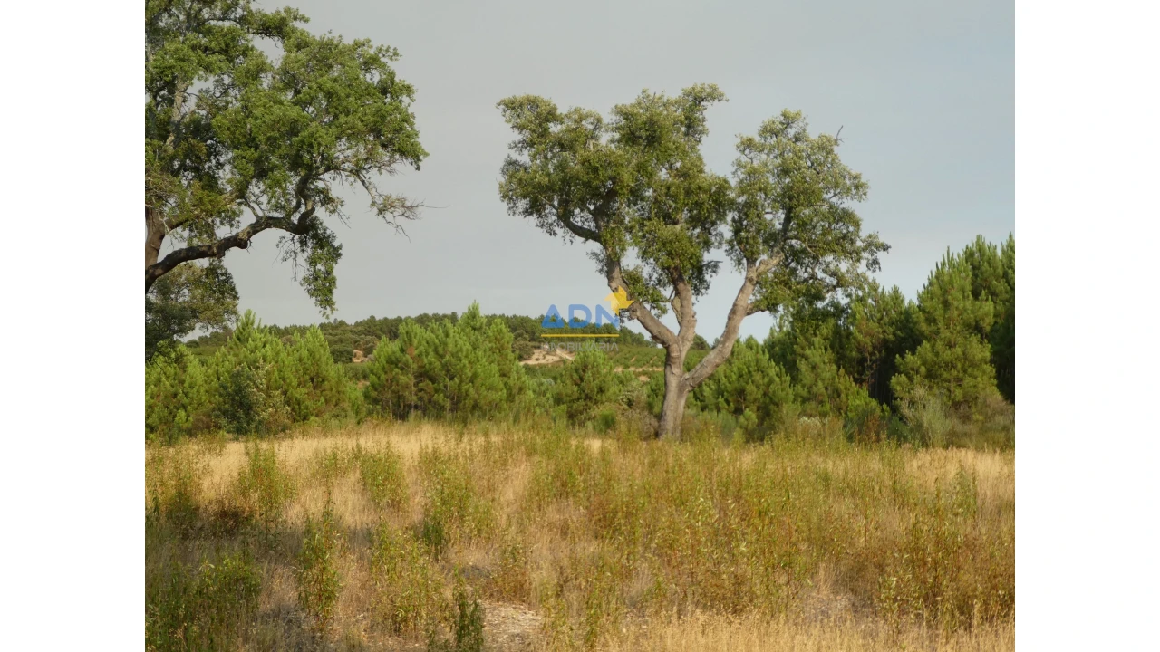 Terreno para Venda em Vale de Prazeres e Mata da Rainha Foto 22