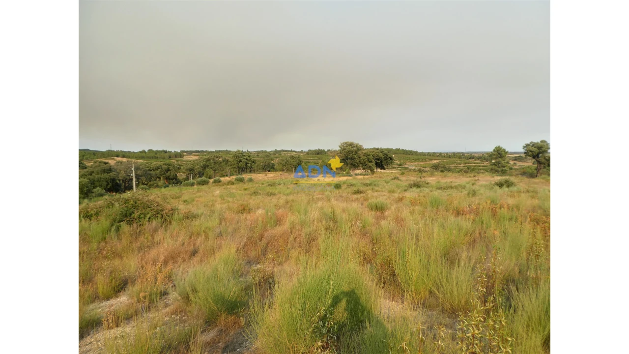 Terreno para Venda em Vale de Prazeres e Mata da Rainha Foto 24
