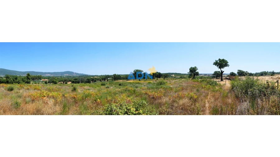 Terreno para Venda em Vale de Prazeres e Mata da Rainha Foto 8