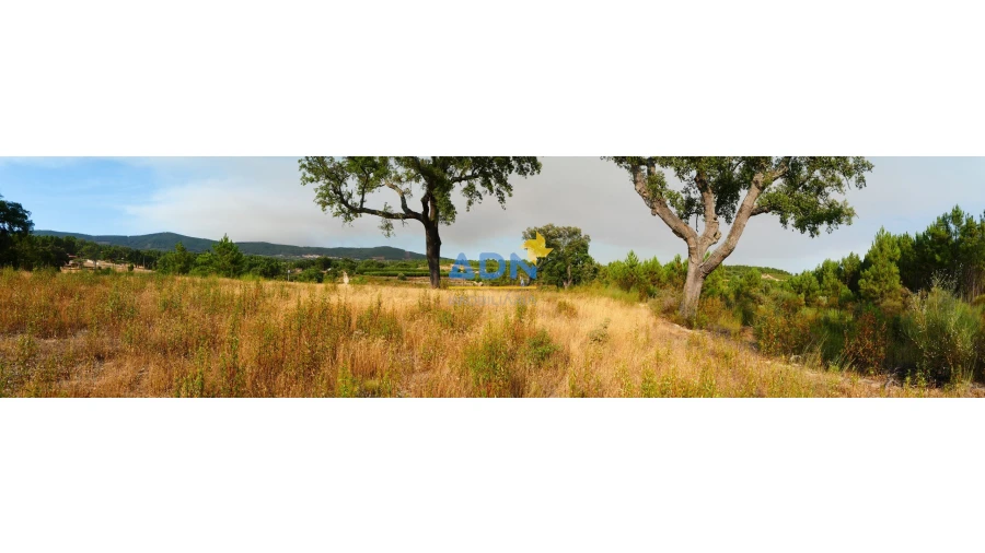 Terreno para Venda em Vale de Prazeres e Mata da Rainha Foto 13