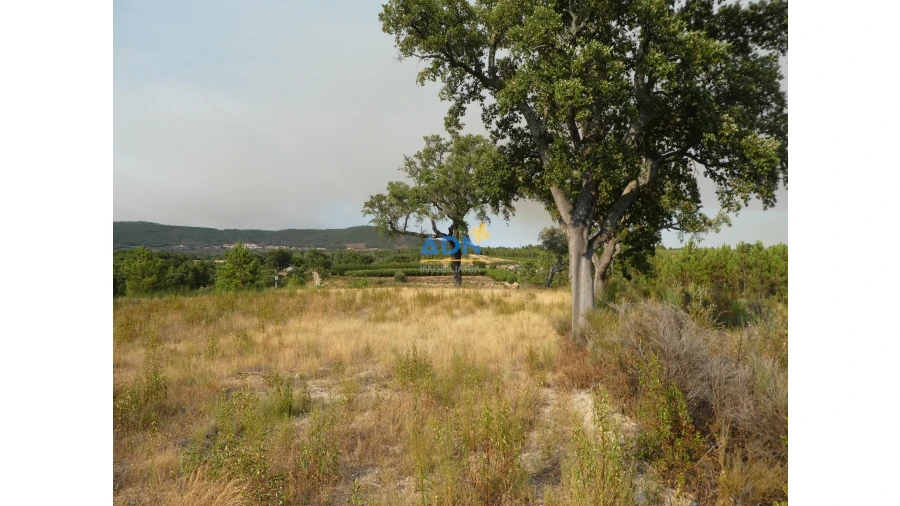 Terreno para Venda em Vale de Prazeres e Mata da Rainha Foto 15