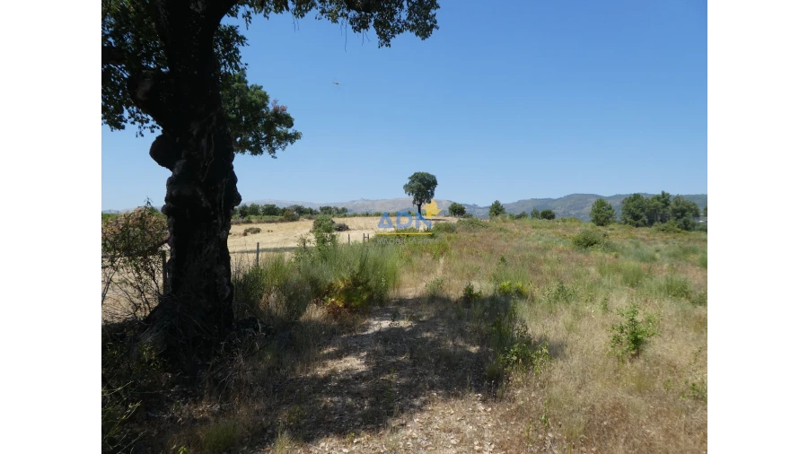 Terreno para Venda em Vale de Prazeres e Mata da Rainha Foto 7
