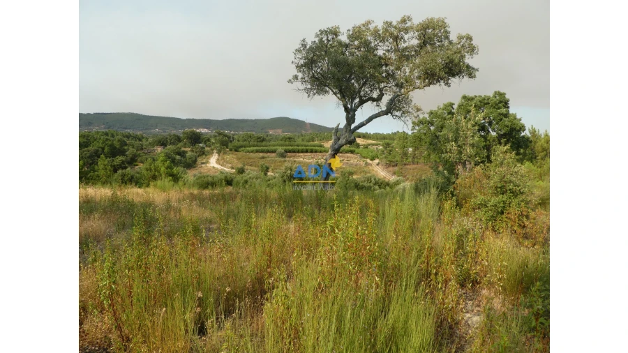 Terreno para Venda em Vale de Prazeres e Mata da Rainha Foto 17