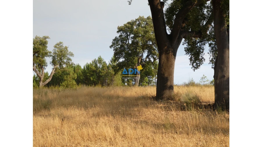 Terreno para Venda em Vale de Prazeres e Mata da Rainha Foto 21