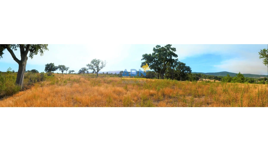 Terreno para Venda em Vale de Prazeres e Mata da Rainha Foto 12