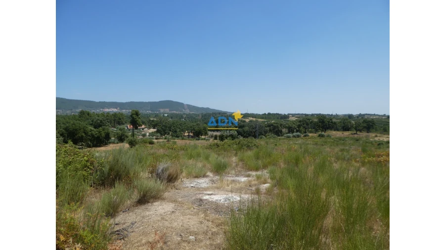 Terreno para Venda em Vale de Prazeres e Mata da Rainha Foto 10