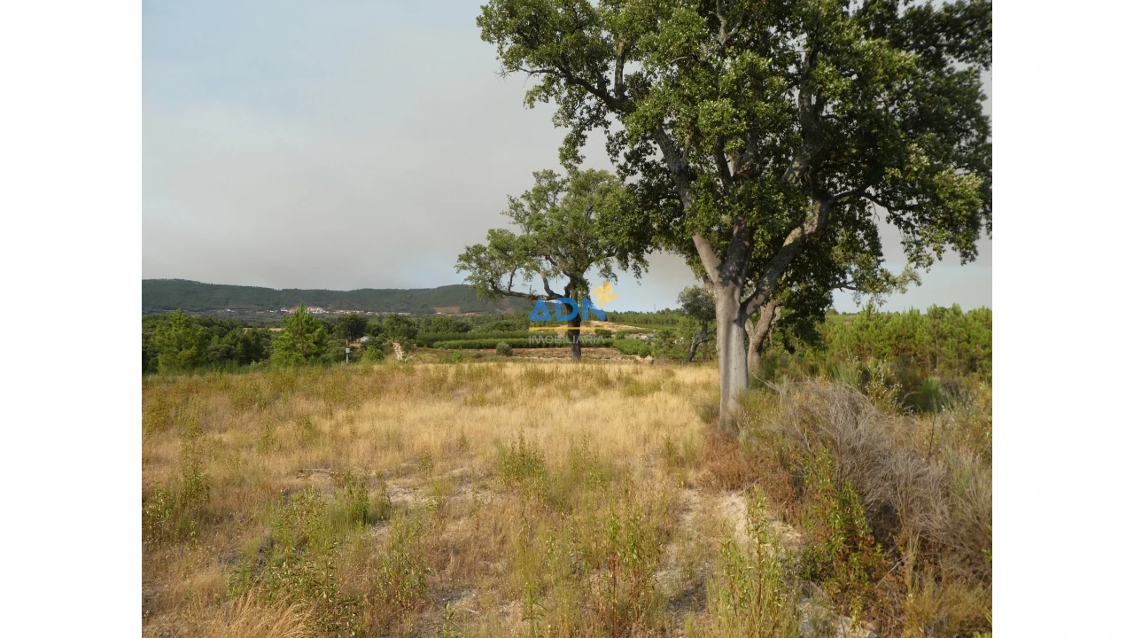 Terreno para Venda em Vale de Prazeres e Mata da Rainha Foto 15