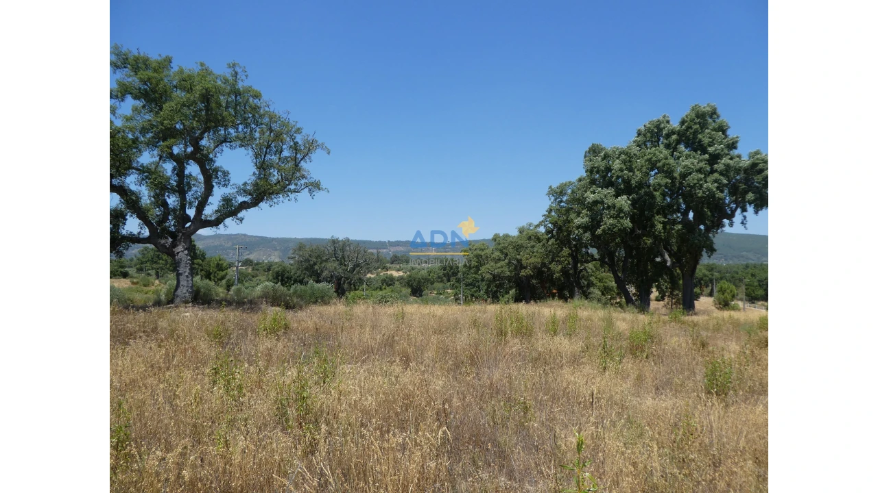 Terreno para Venda em Vale de Prazeres e Mata da Rainha Foto 11