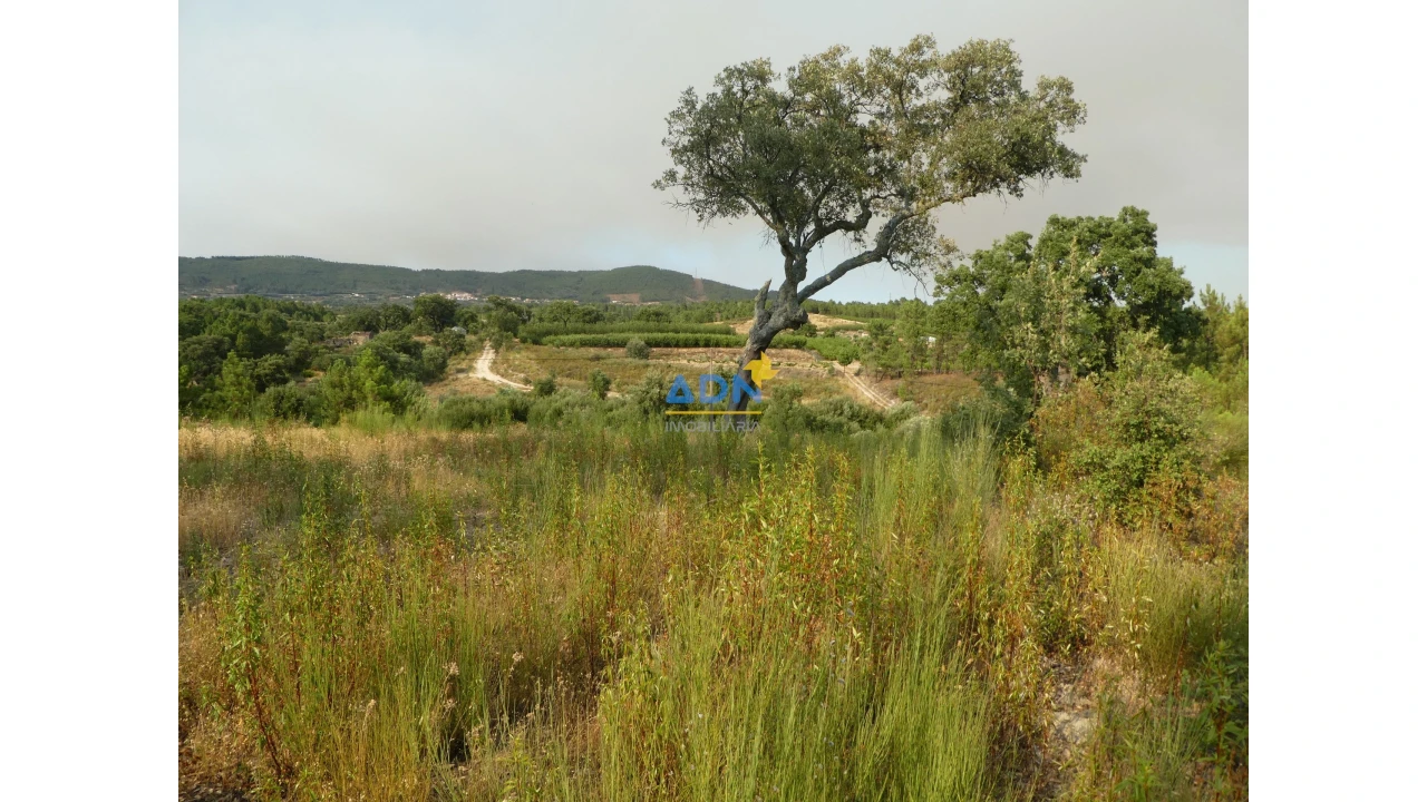 Terreno para Venda em Vale de Prazeres e Mata da Rainha Foto 17