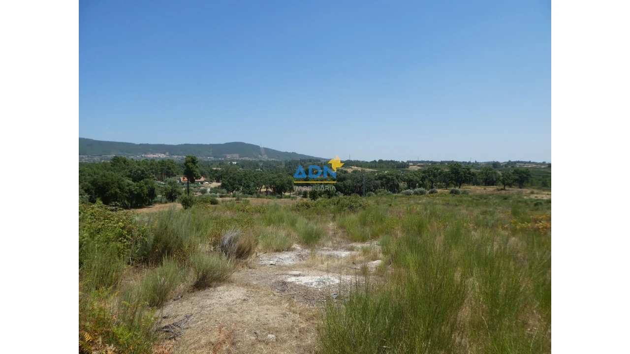 Terreno para Venda em Vale de Prazeres e Mata da Rainha Foto 2