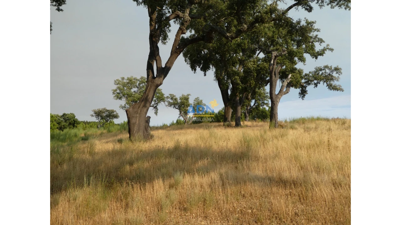 Terreno para Venda em Vale de Prazeres e Mata da Rainha Foto 19