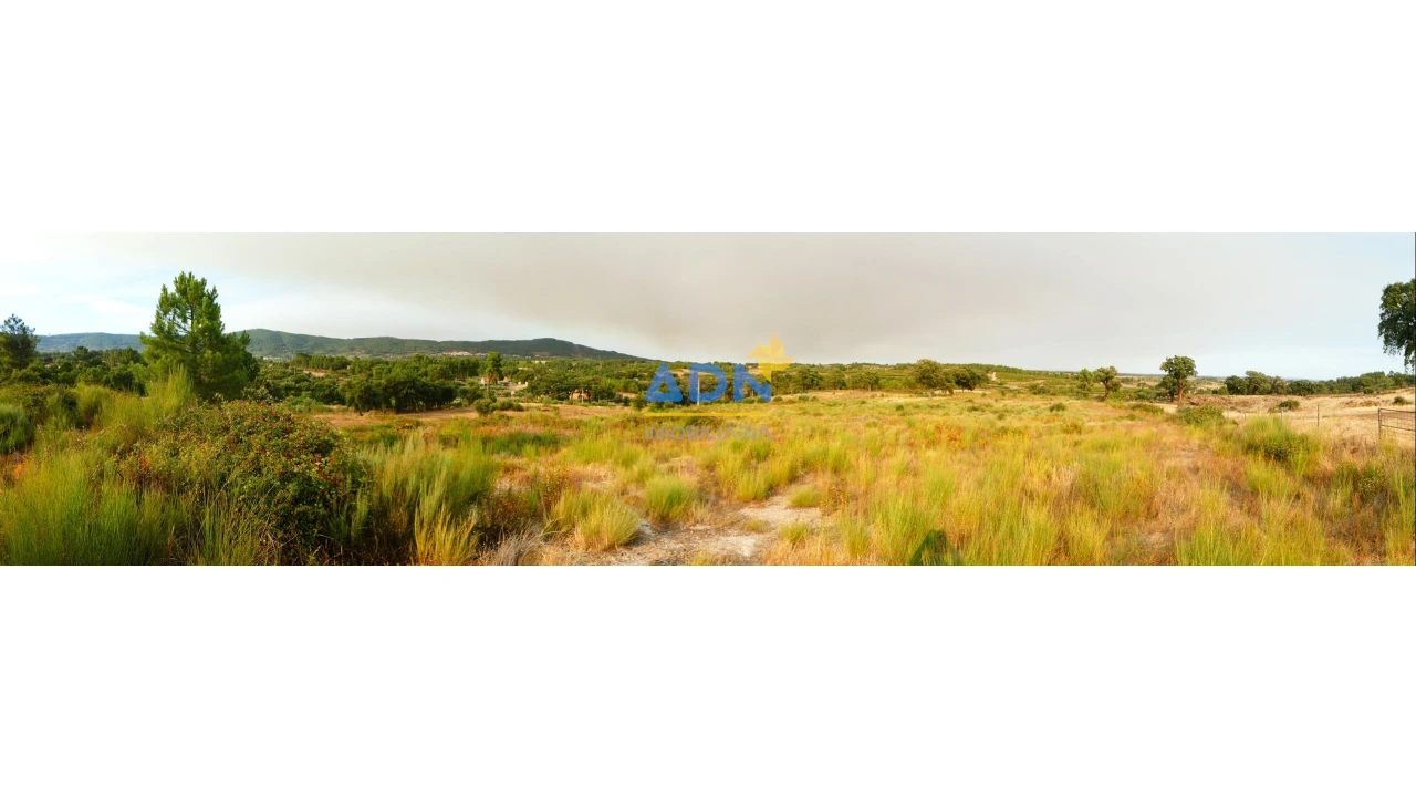 Terreno para Venda em Vale de Prazeres e Mata da Rainha Foto 25