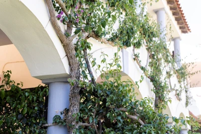 Apartamento para Arrendamento férias em Quarteira