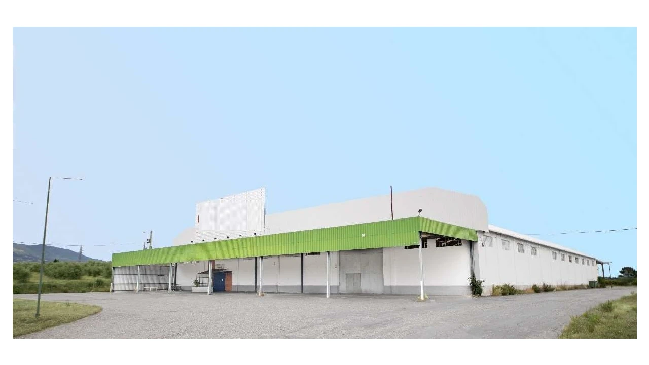 Armazém para Venda em Boidobra Foto 1