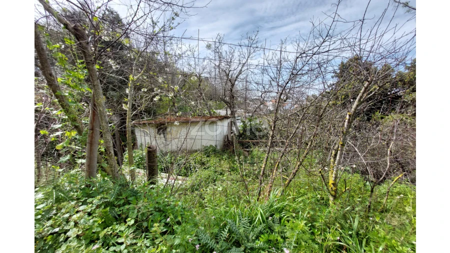 Terreno para Venda em Póvoa de Santo Adrião e Olival Basto Foto 8