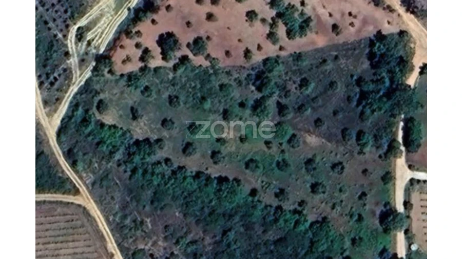 Terreno para Venda em Seiça Foto 3