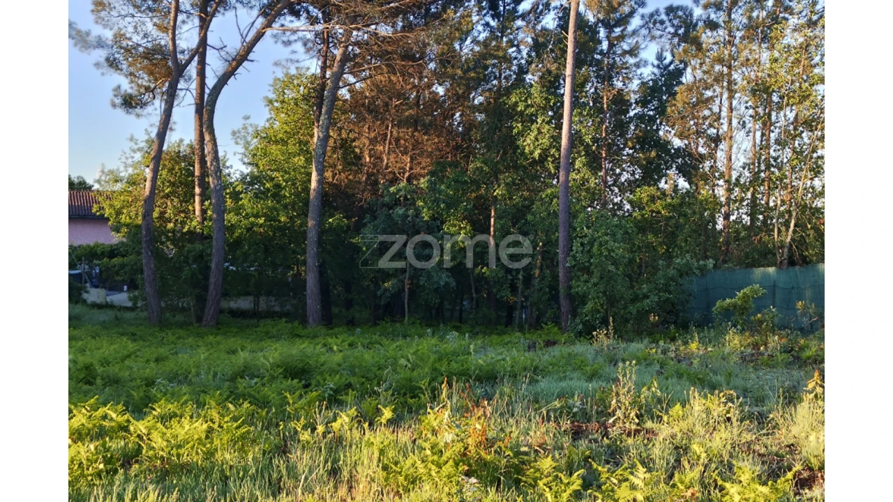 Terreno para Venda em Faíl e Vila Chã de Sá Foto 6