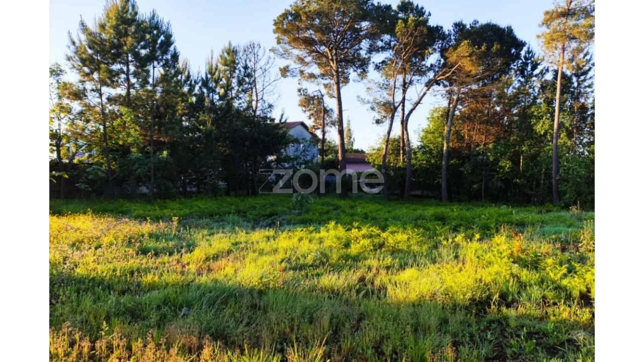 Terreno para Venda em Faíl e Vila Chã de Sá Foto 8