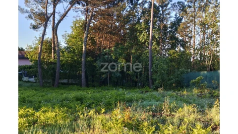 Terreno para Venda em Faíl e Vila Chã de Sá
