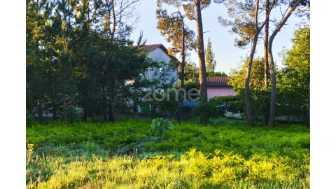 Terreno para Venda em Faíl e Vila Chã de Sá