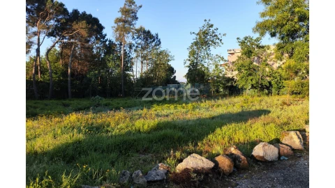 Terreno para Venda em Faíl e Vila Chã de Sá