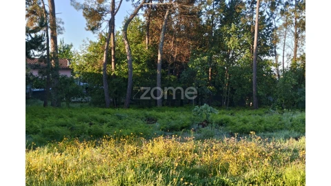 Terreno para Venda em Faíl e Vila Chã de Sá