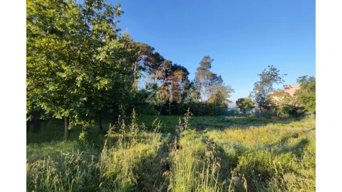 Terreno para Venda em Faíl e Vila Chã de Sá
