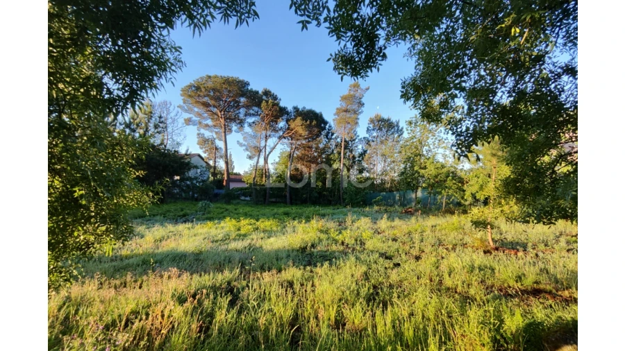 Terreno para Venda em Faíl e Vila Chã de Sá Foto 5