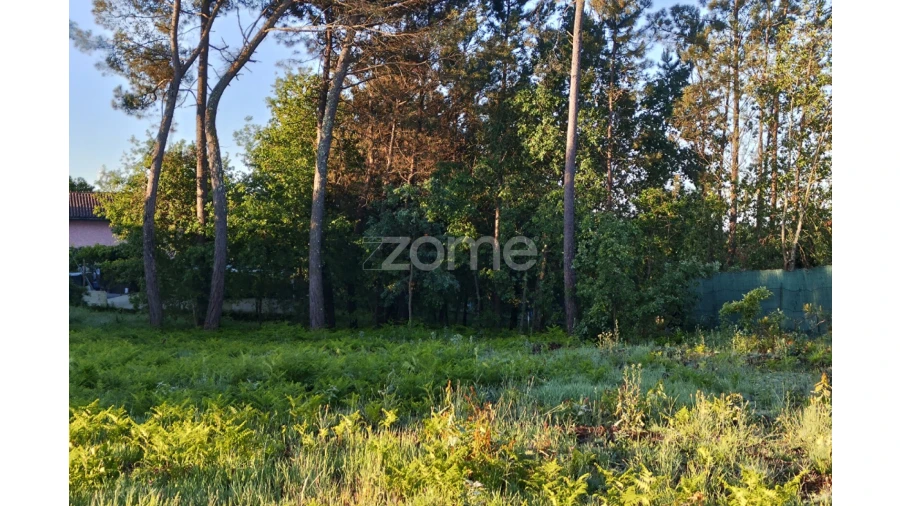 Terreno para Venda em Faíl e Vila Chã de Sá Foto 6