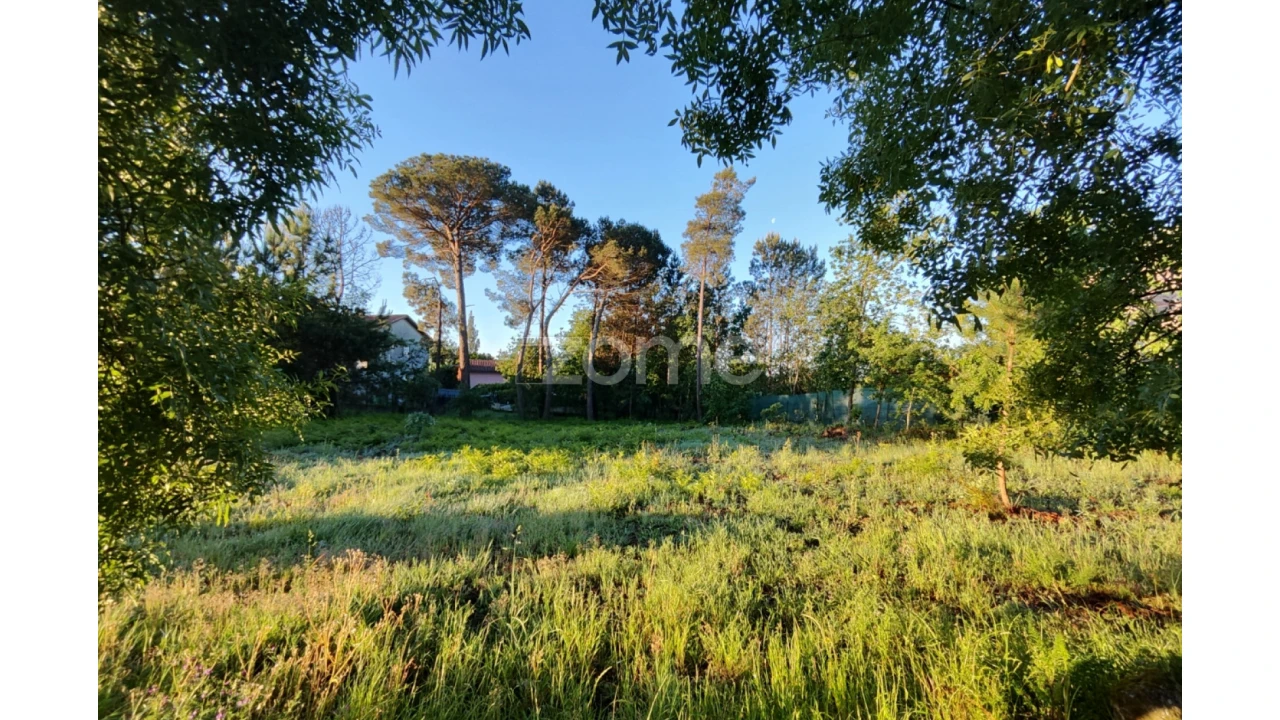Terreno para Venda em Faíl e Vila Chã de Sá Foto 1