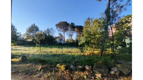 Terreno para Venda em Faíl e Vila Chã de Sá