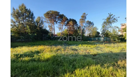 Terreno para Venda em Faíl e Vila Chã de Sá
