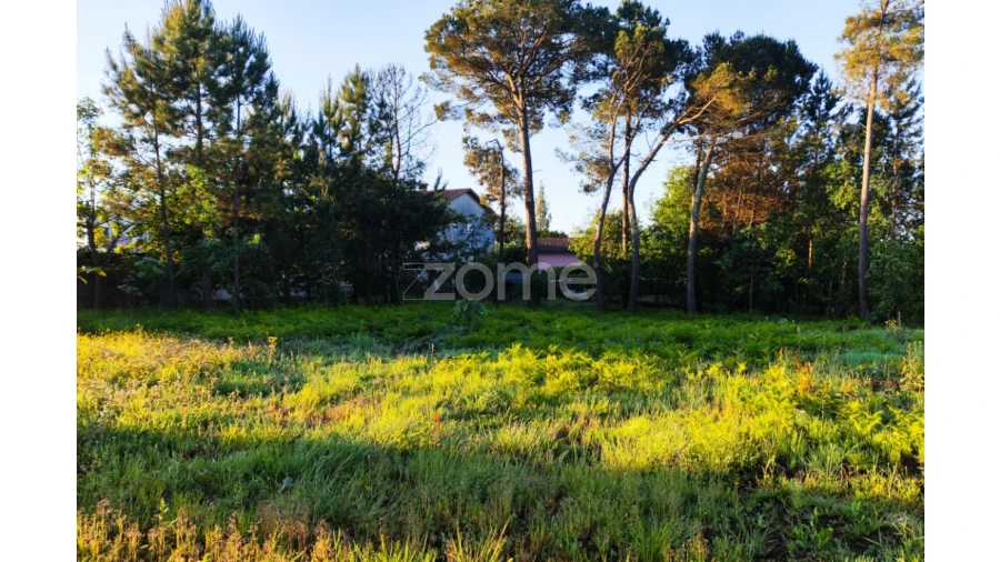 Terreno para Venda em Faíl e Vila Chã de Sá Foto 8